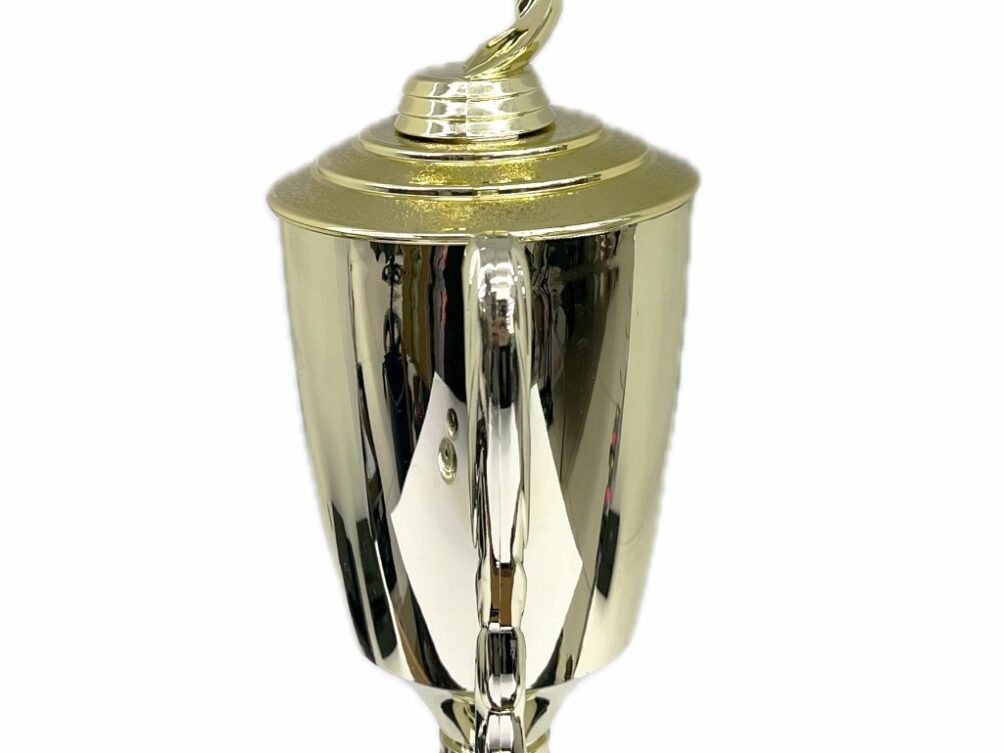 Basketball S/D Male Trophy 430mm