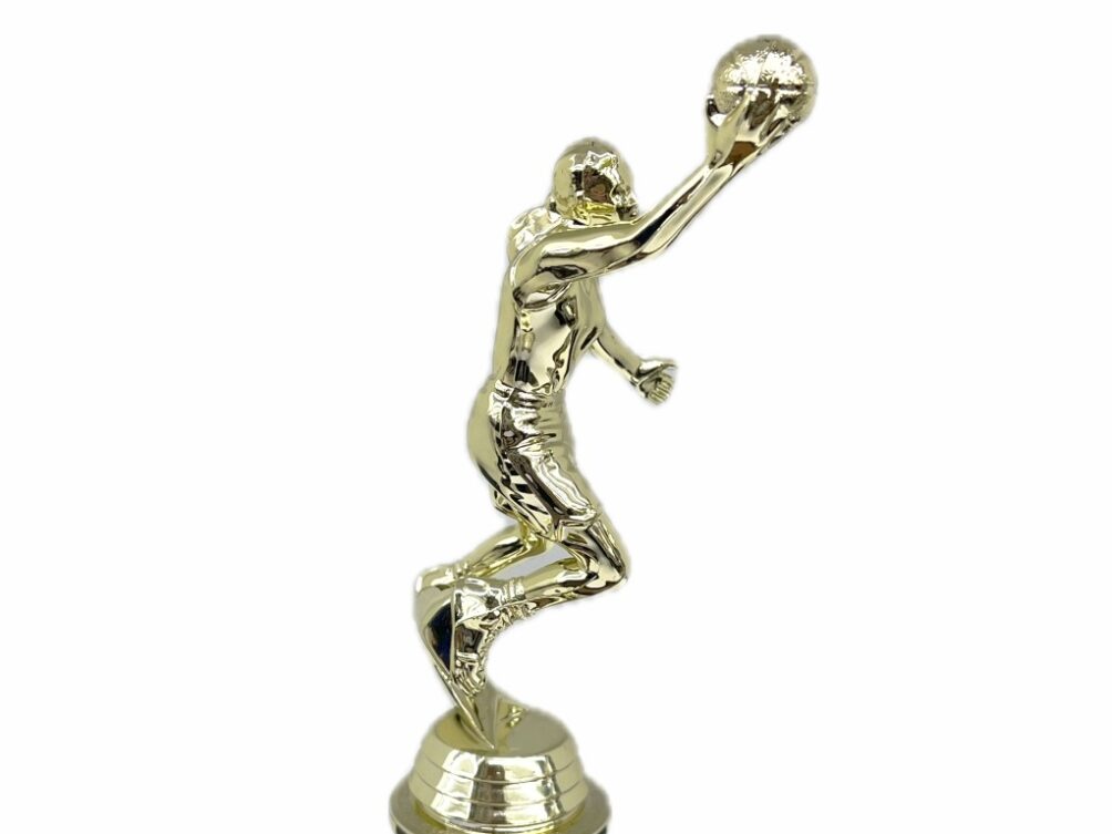 Basketball S/D Male Trophy 290mm