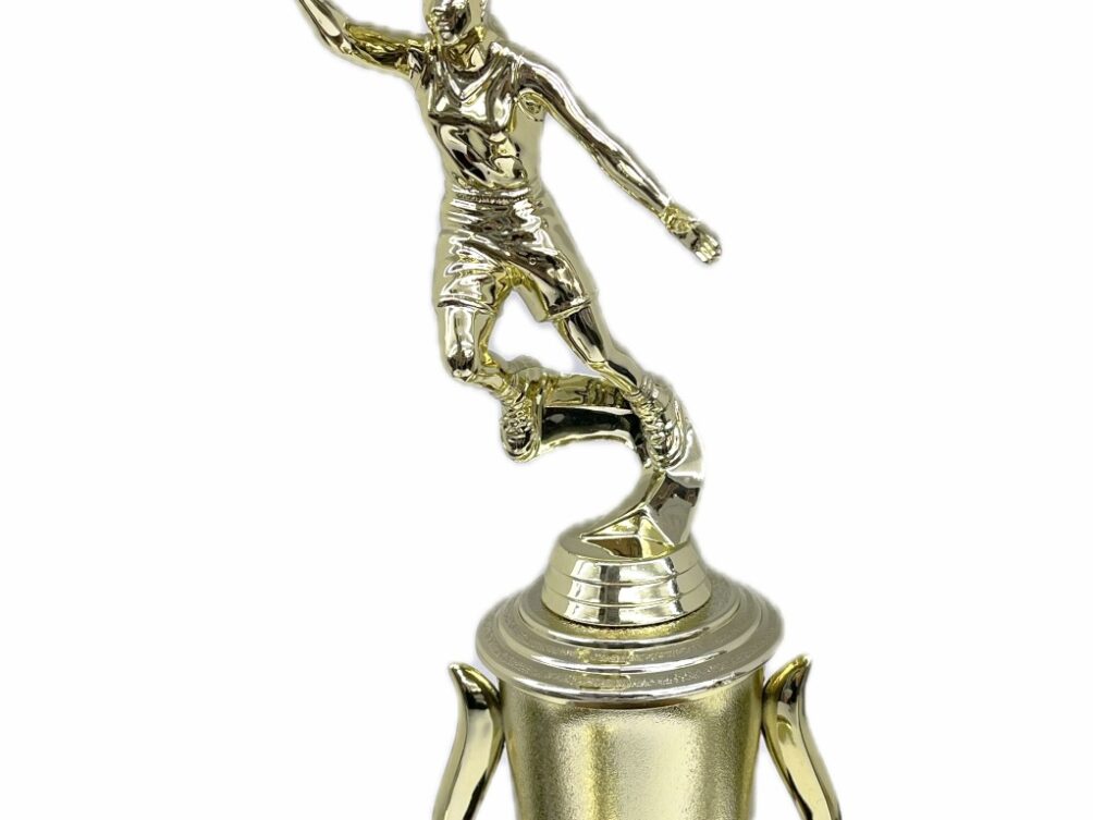 Basketball S/D Male Trophy 310mm