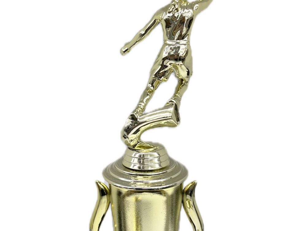 Basketball S/D Male Trophy 310mm