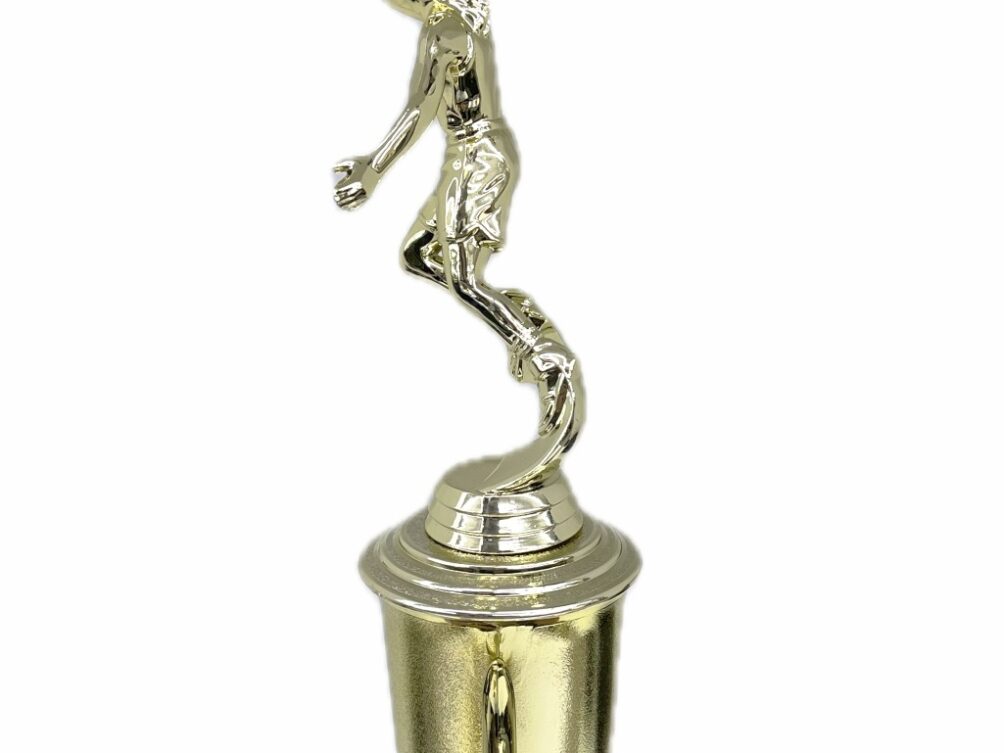 Basketball S/D Male Trophy 310mm