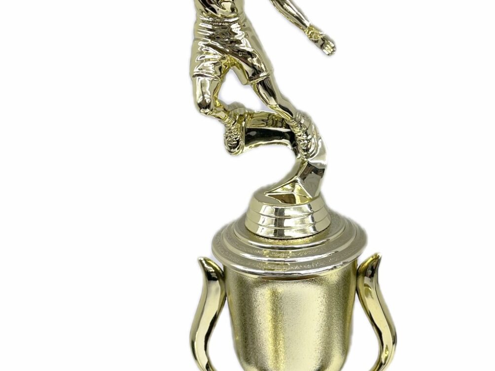 Basketball S/D Male Trophy 350mm