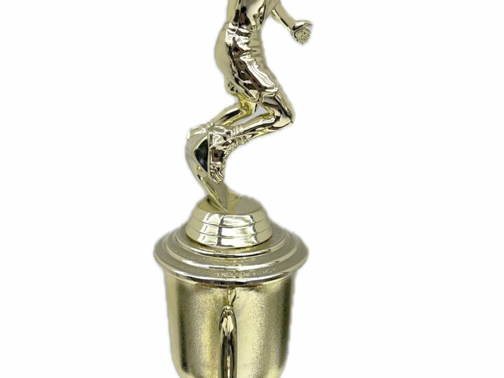 Basketball S/D Male Trophy 350mm