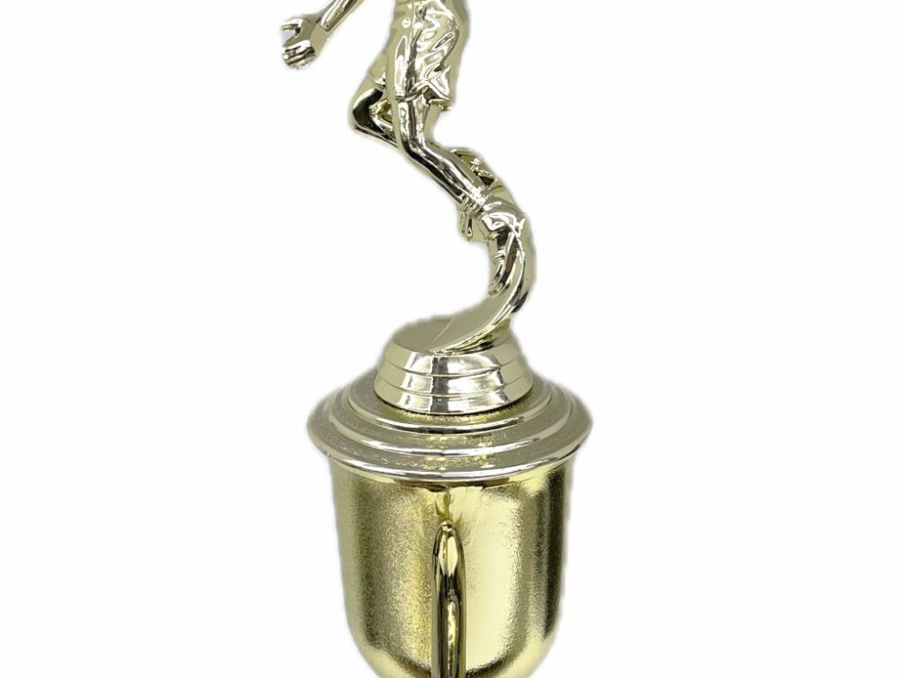 Basketball S/D Male Trophy 350mm