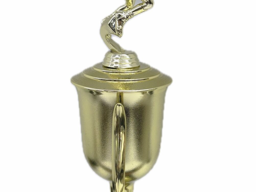 Basketball S/D Male Trophy 390mm