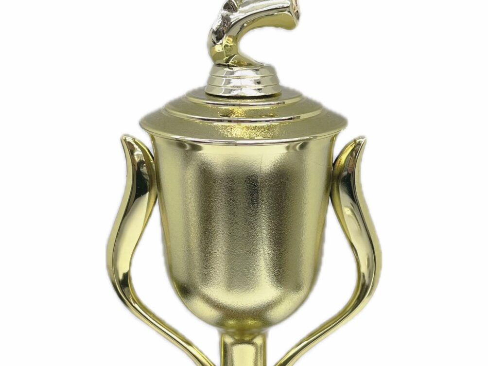 Basketball S/D Male Trophy 390mm