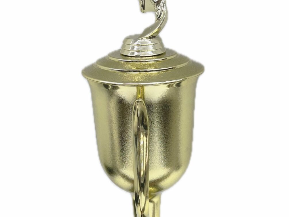 Basketball S/D Male Trophy 390mm