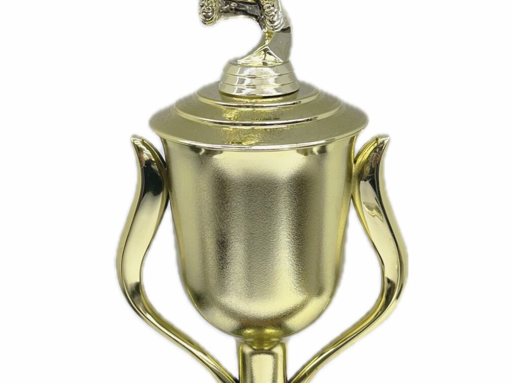 Basketball S/D Male Trophy 430mm