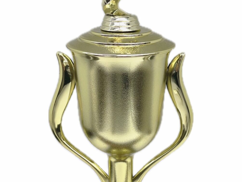 Basketball S/D Male Trophy 430mm