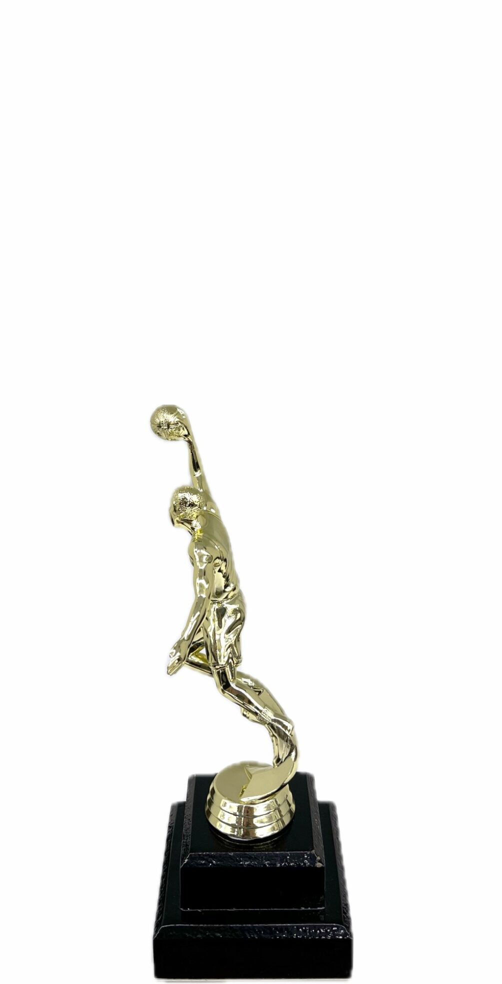 Basketball S/D Male Trophy 200mm