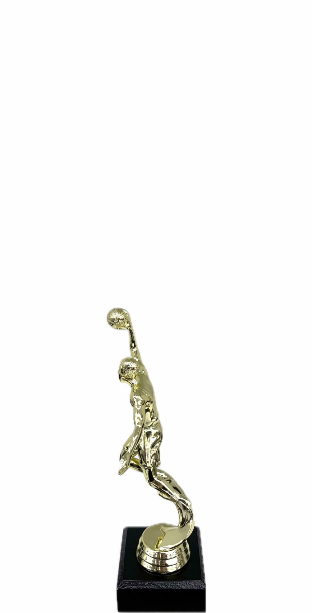 Basketball S/D Male Trophy 175mm