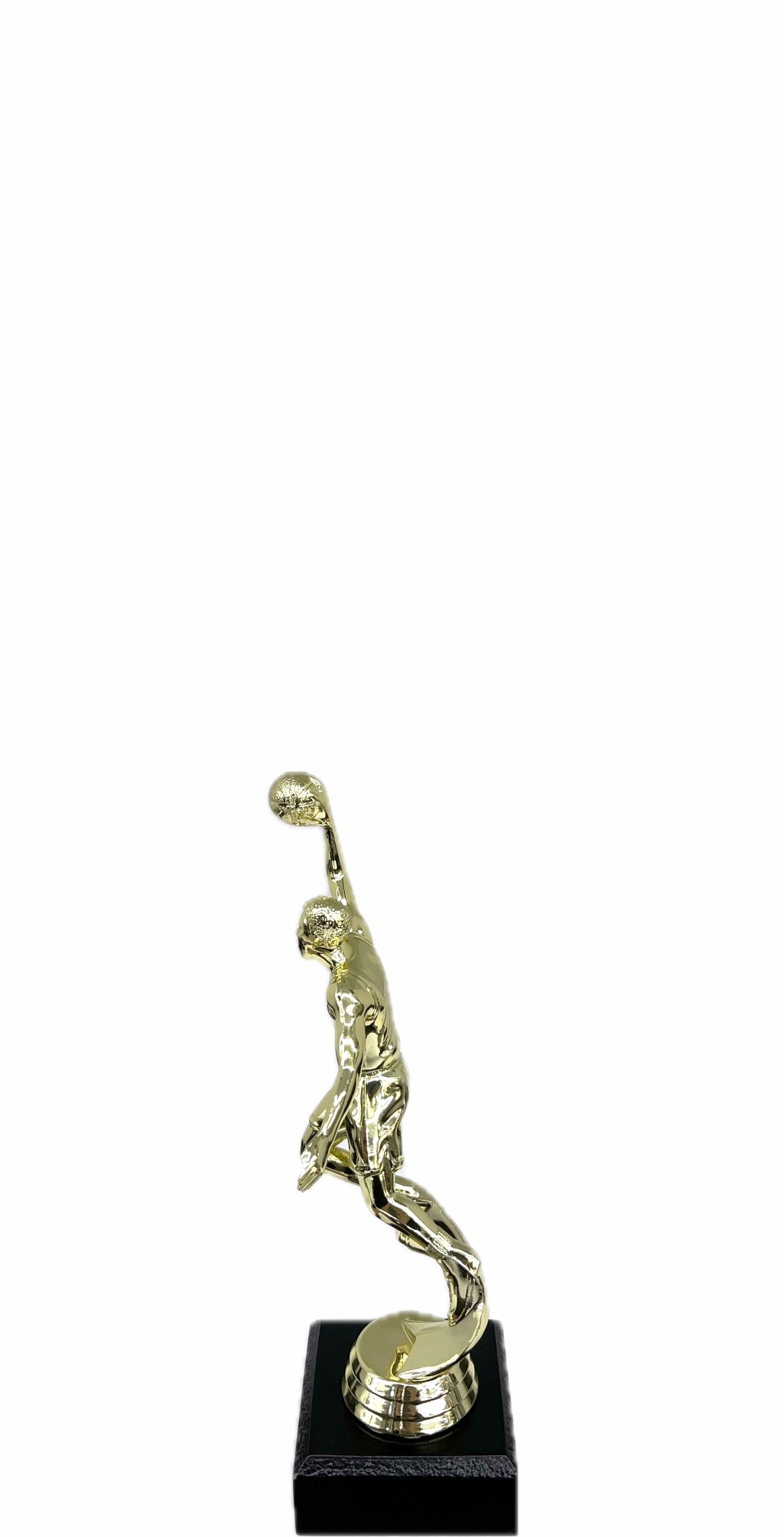 Basketball S/D Male Trophy 175mm