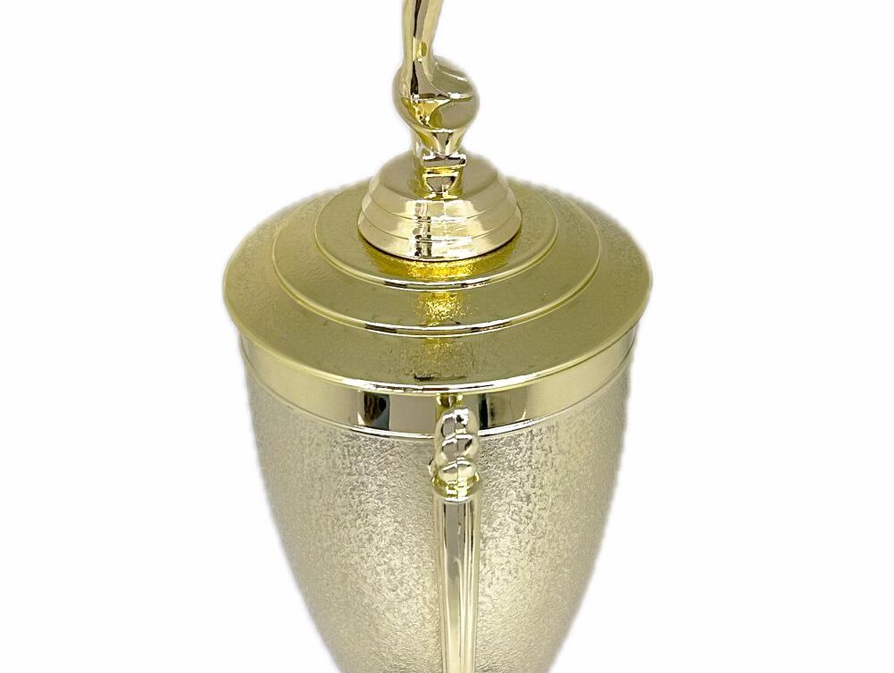 Gymnastics Male Trophy 435mm