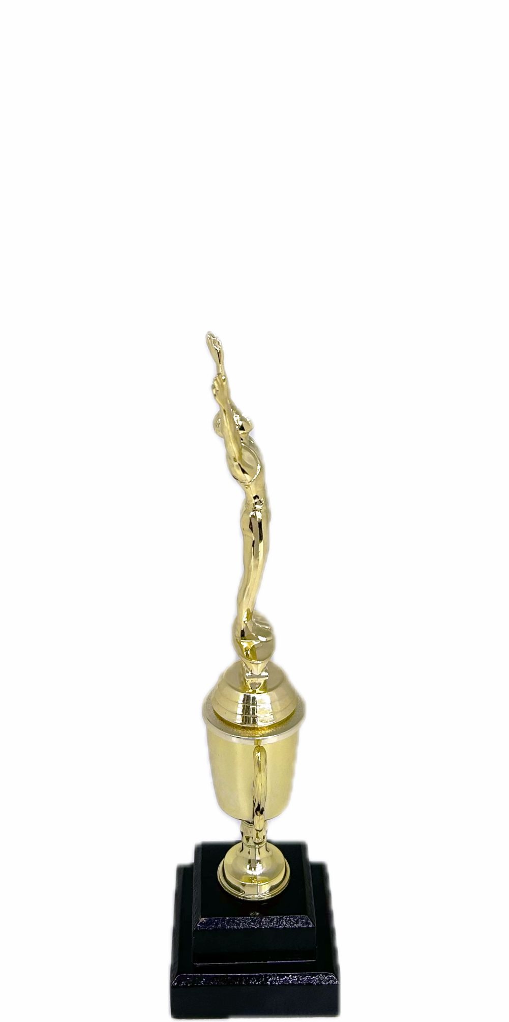 Gymnastics Male Trophy 295mm