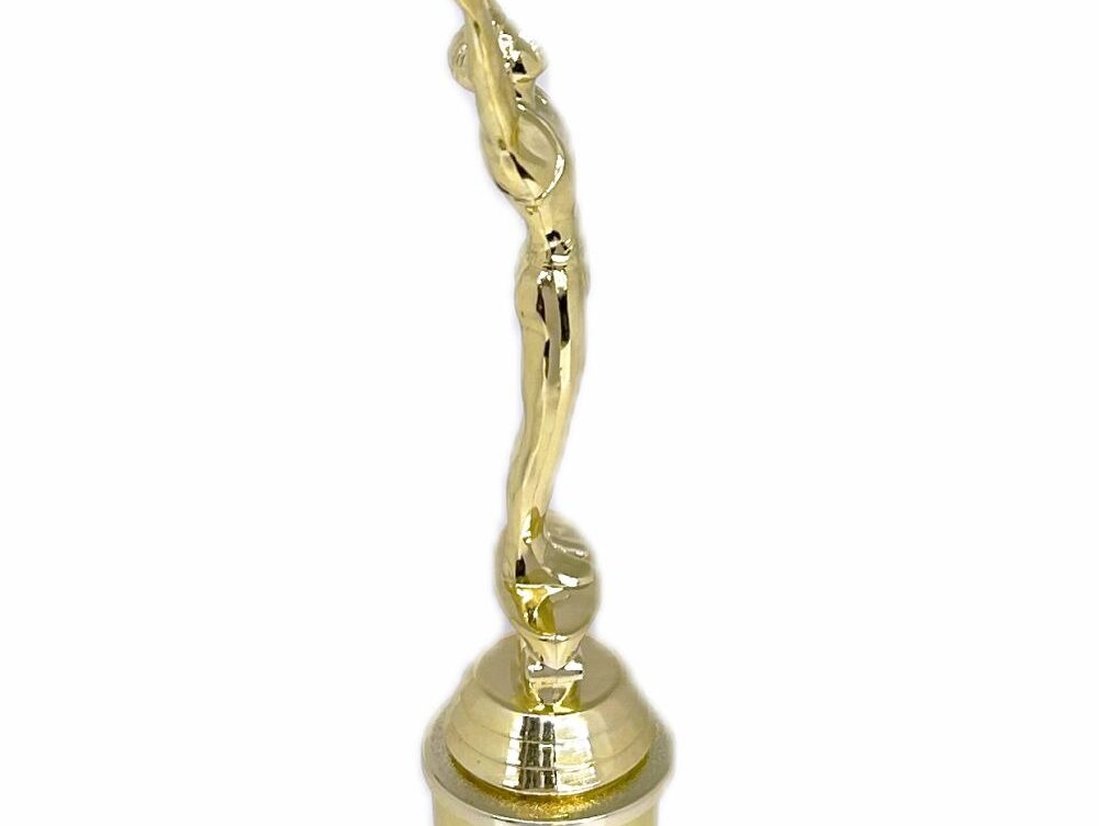 Gymnastics Male Trophy 315mm
