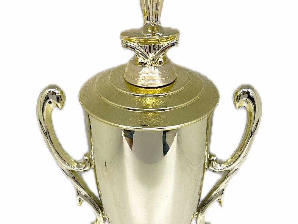 Gymnastics Male Trophy 435