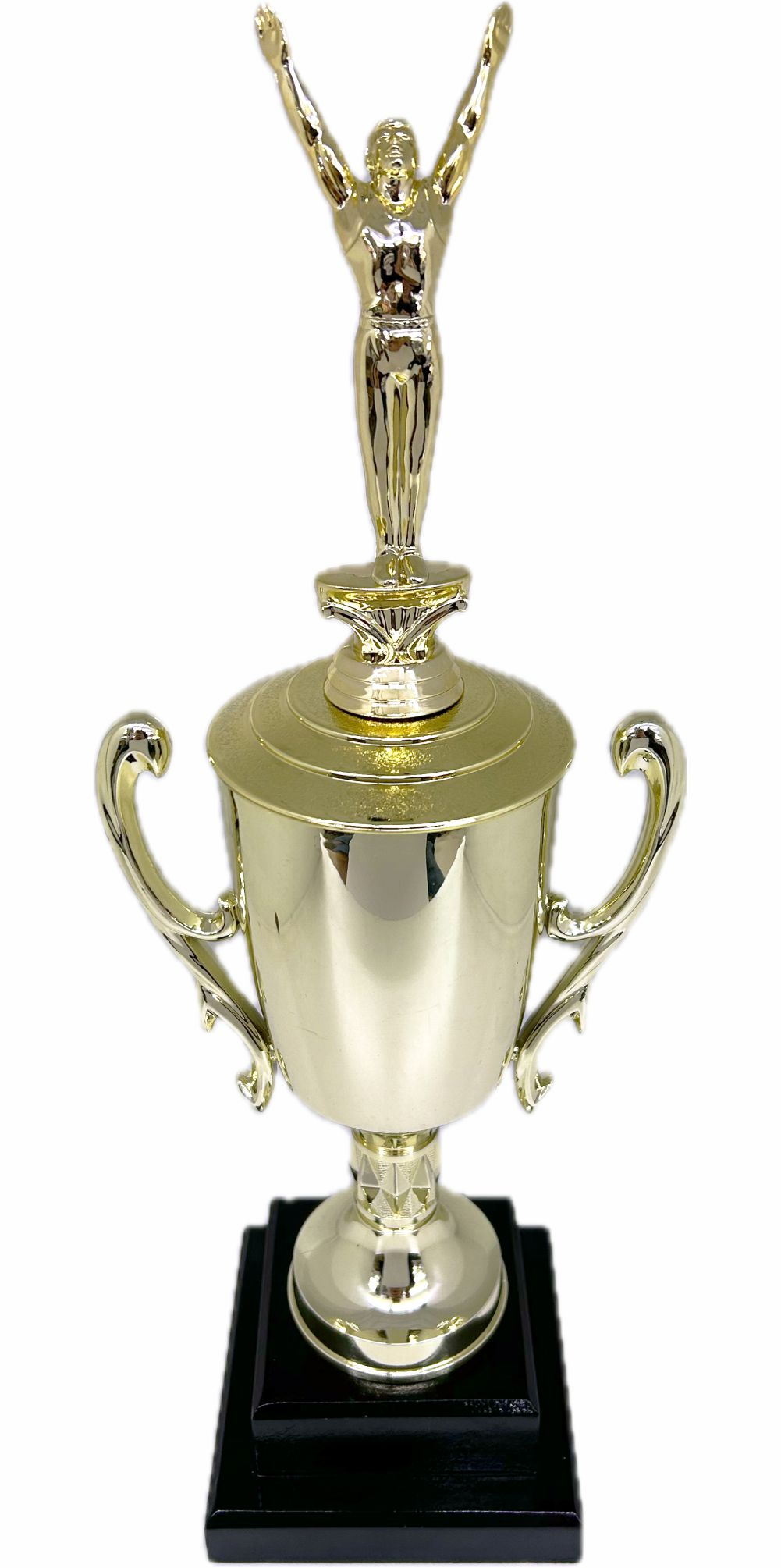 Gymnastics Male Trophy 435