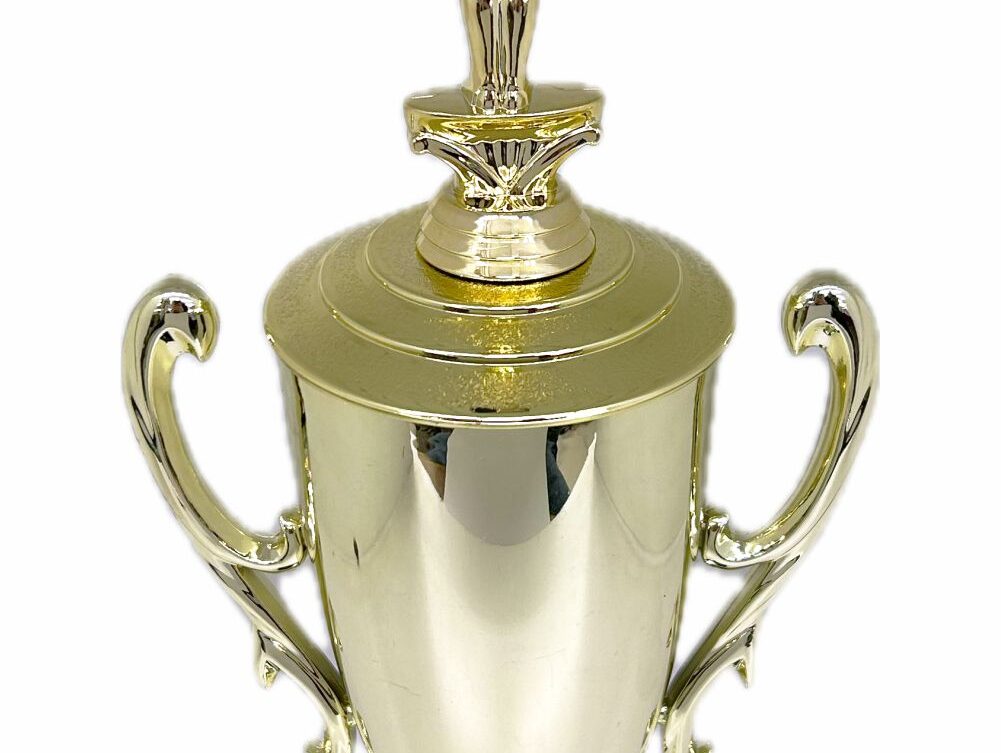 Gymnastics Male Trophy 435