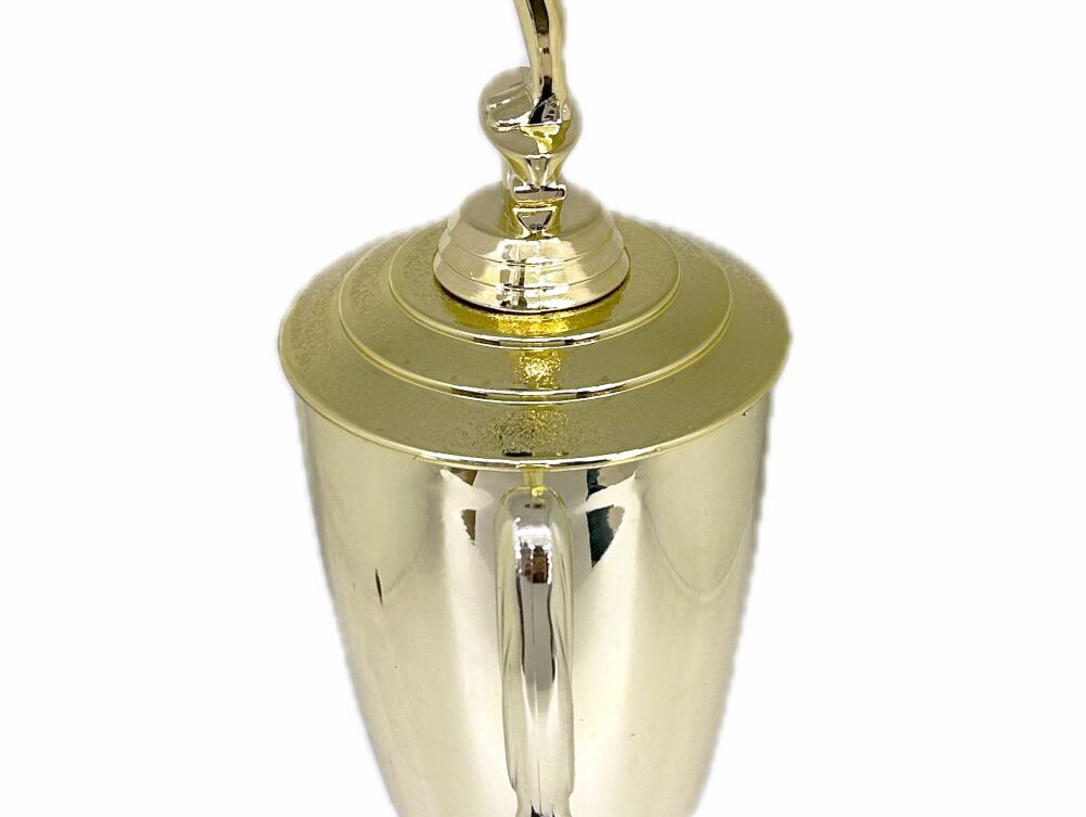 Gymnastics Male Trophy 435