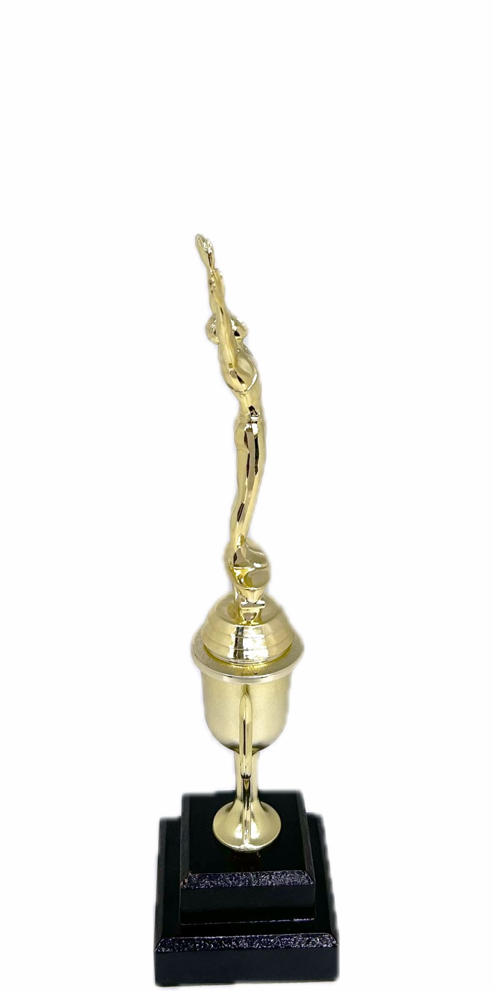 Gymnastics Male Trophy 315mm