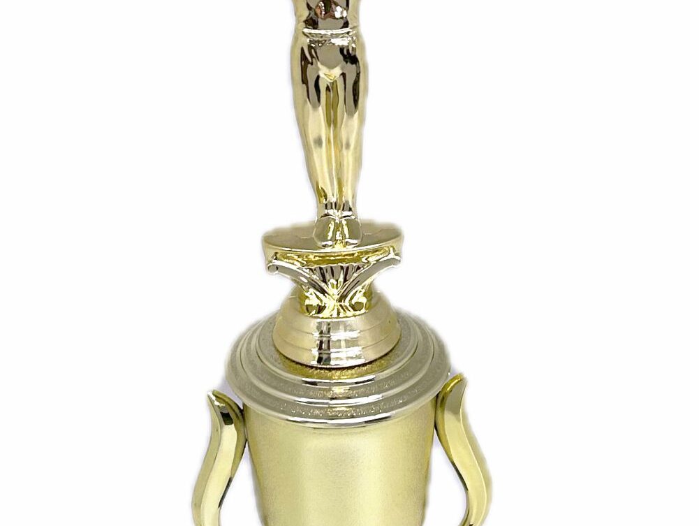 Gymnastics Male Trophy 355m