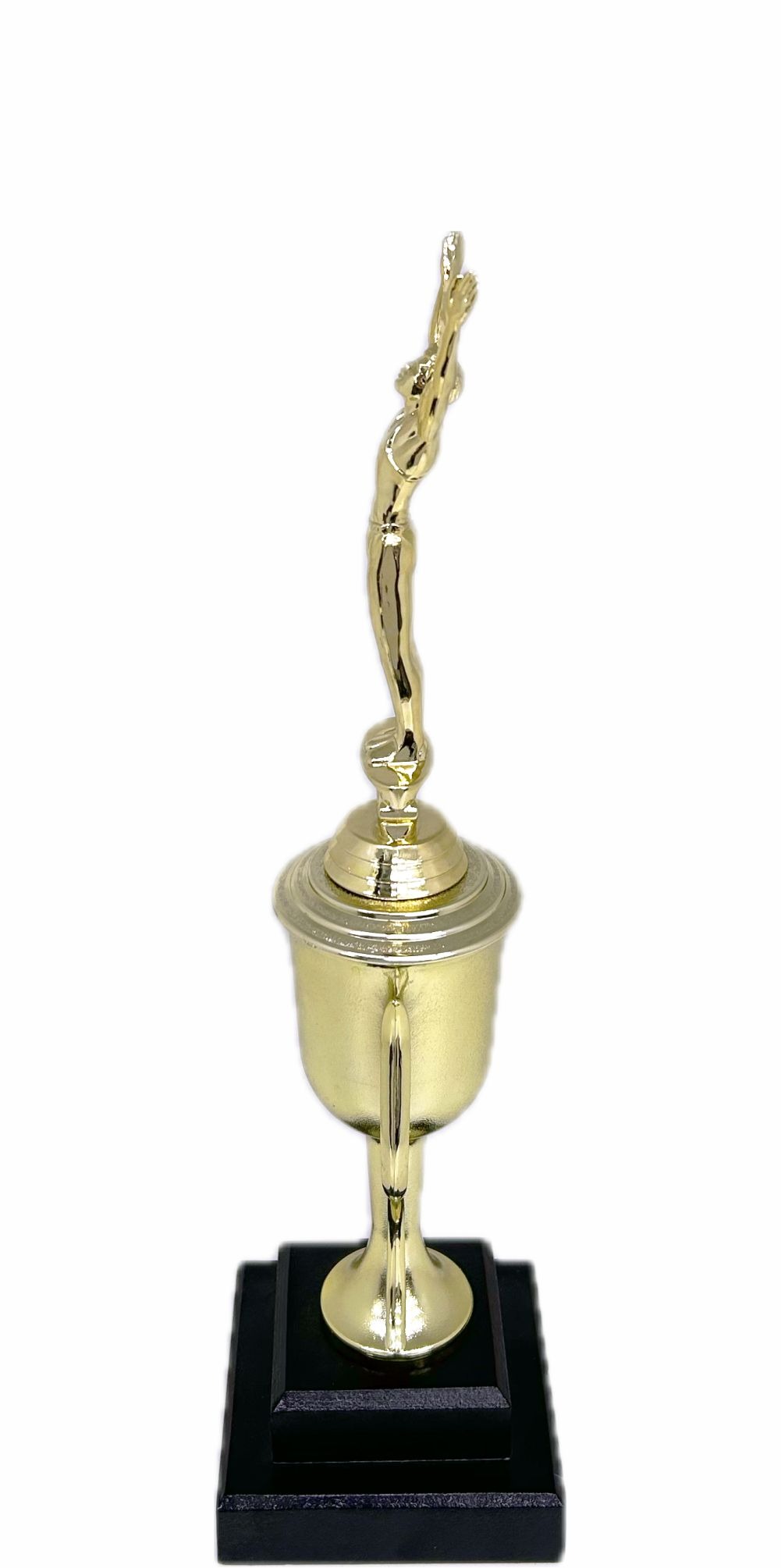 Gymnastics Male Trophy 355m