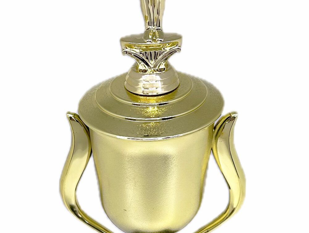 Gymnastics Male Trophy 435mm