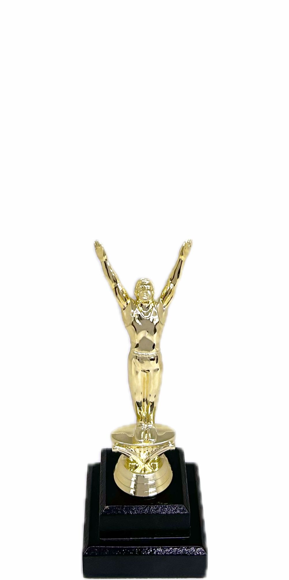 Gymnastics Male Trophy 205mm
