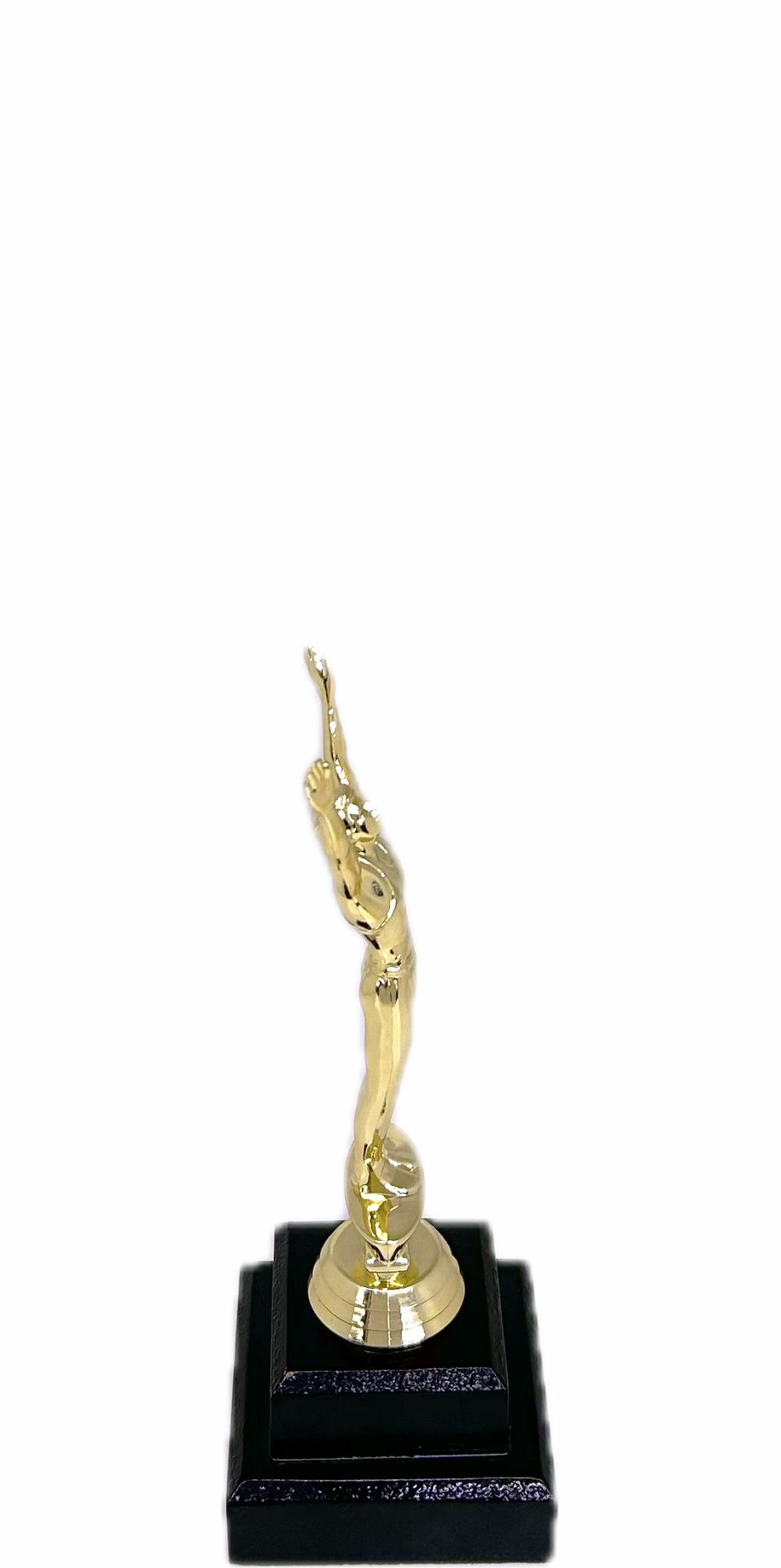 Gymnastics Male Trophy 205mm