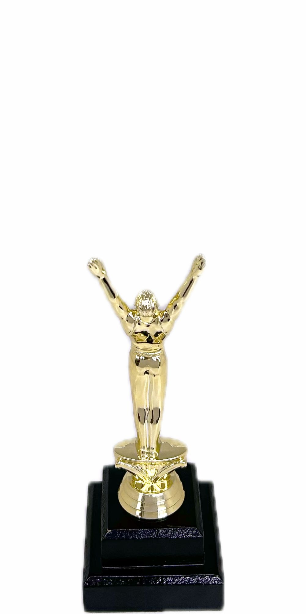 Gymnastics Male Trophy 205mm
