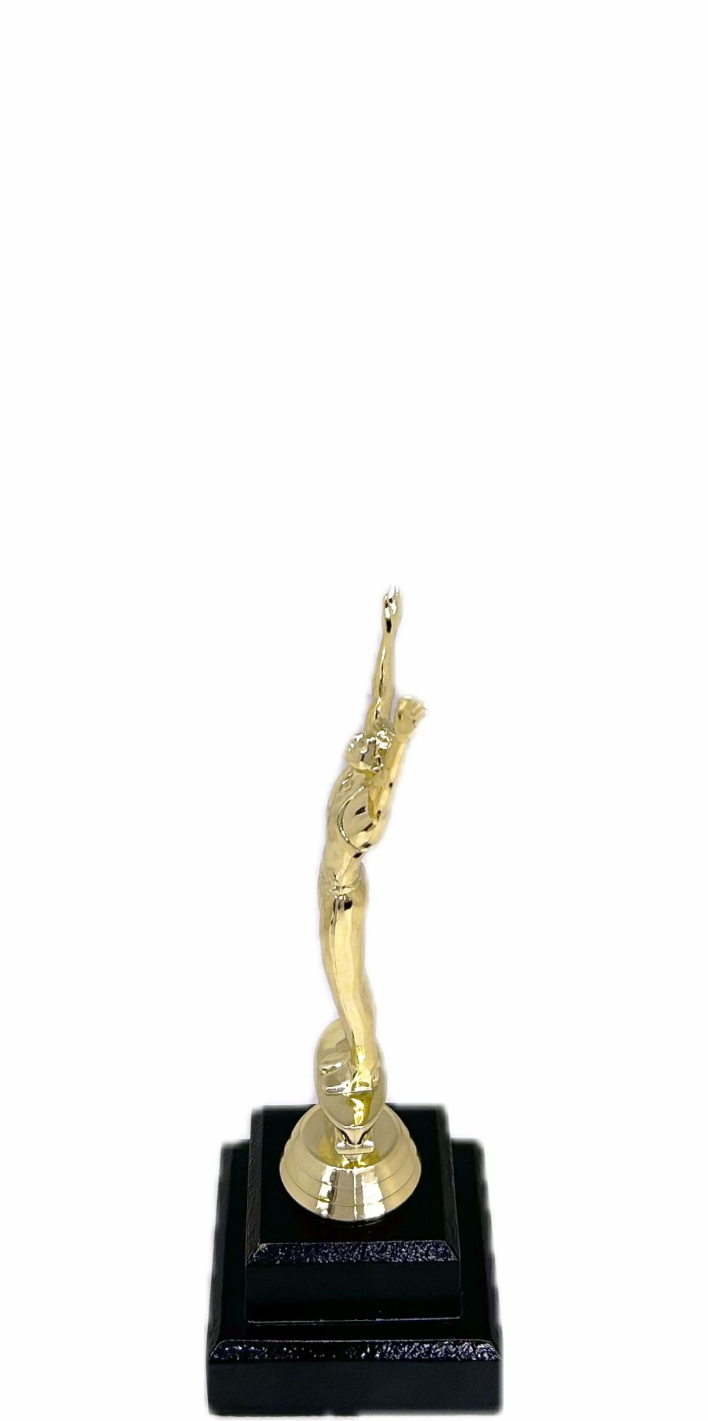 Gymnastics Male Trophy 205mm