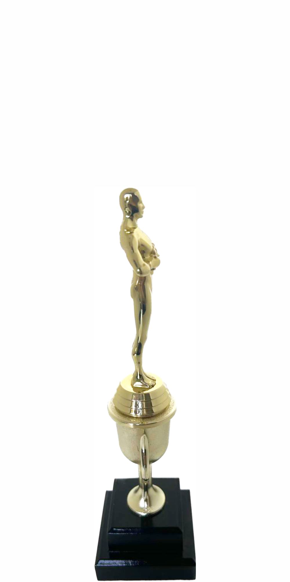 Victory Male Trophy 260mm