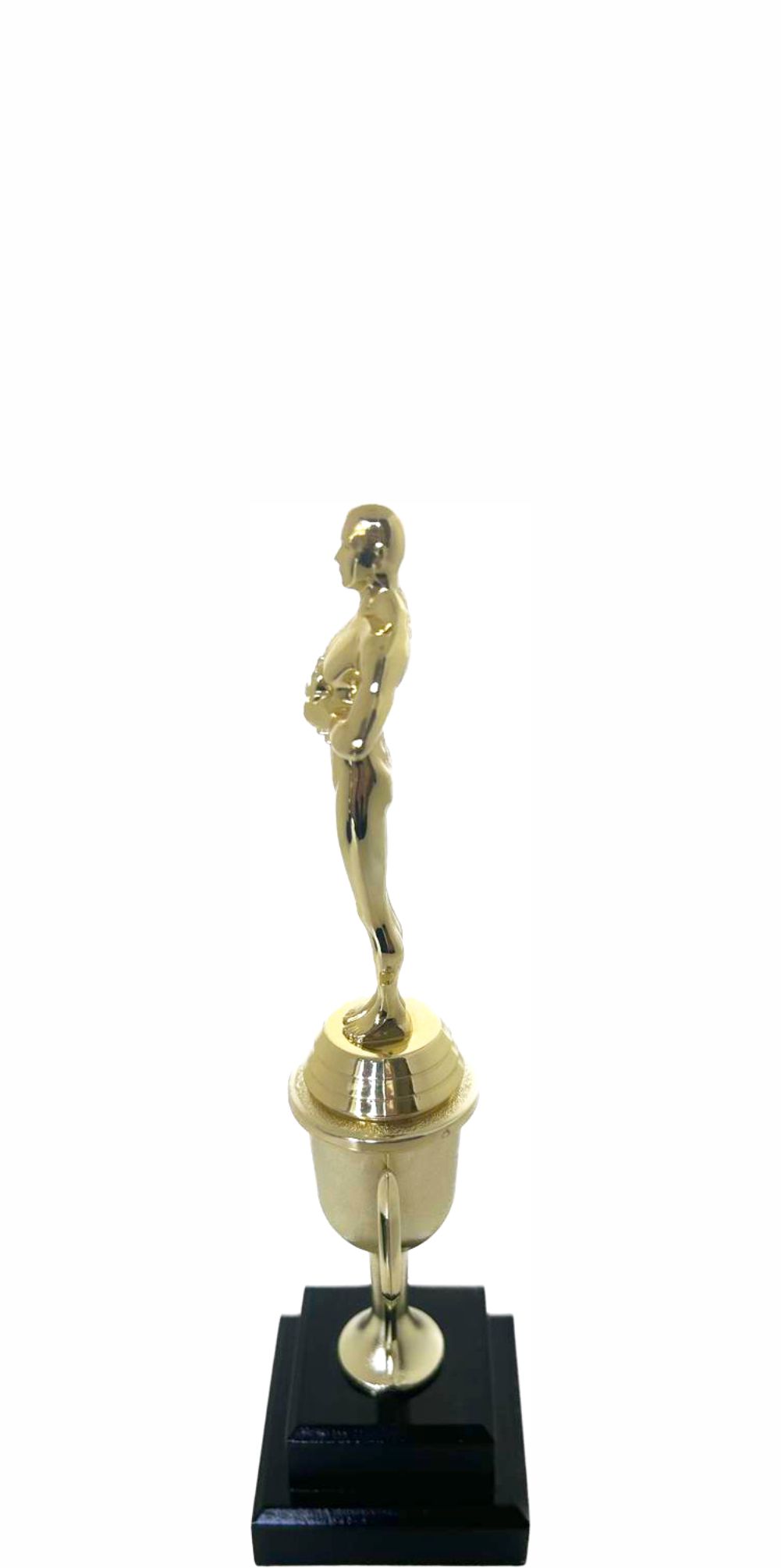 Victory Male Trophy 260mm