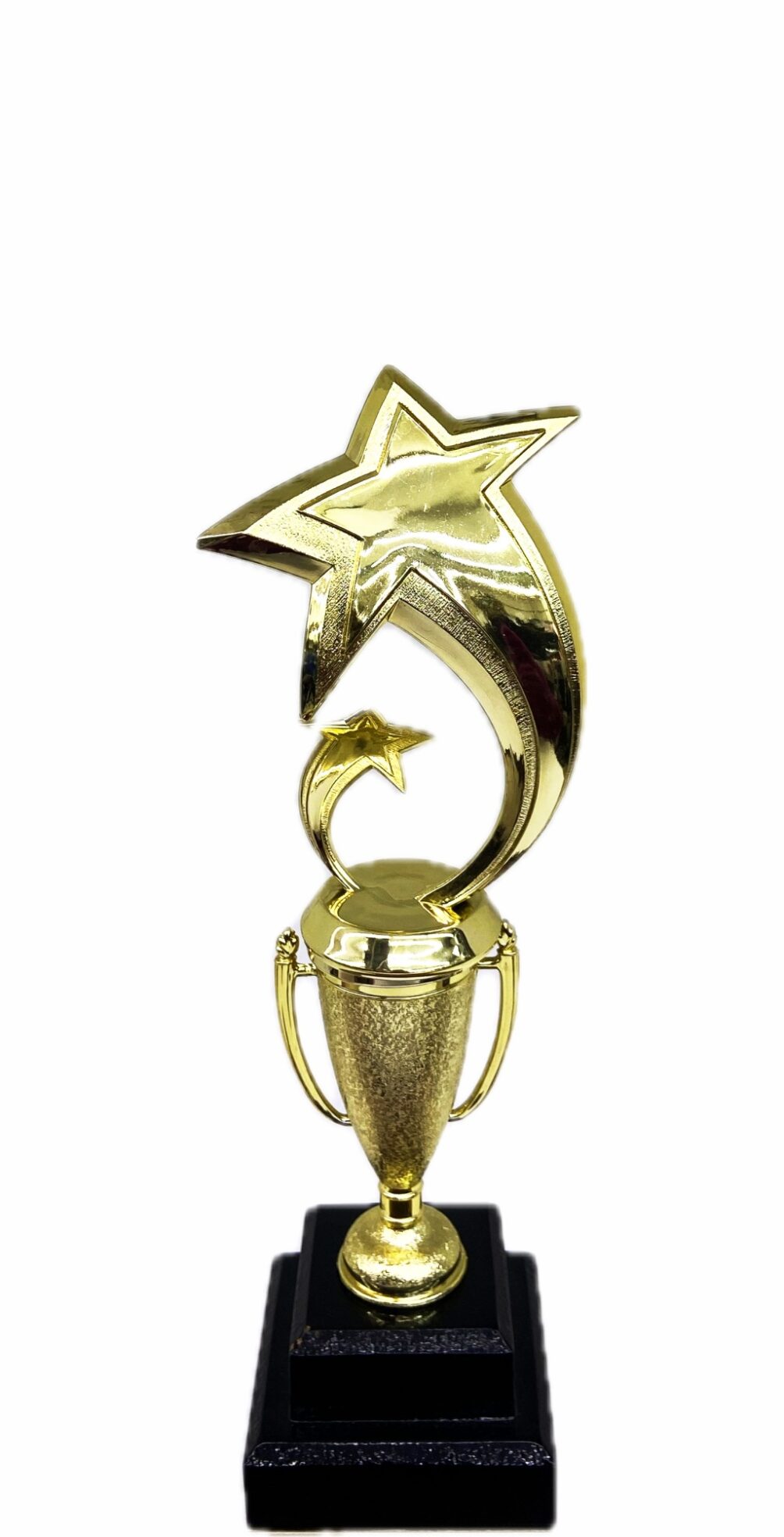 Shooting Star Trophy 305mm