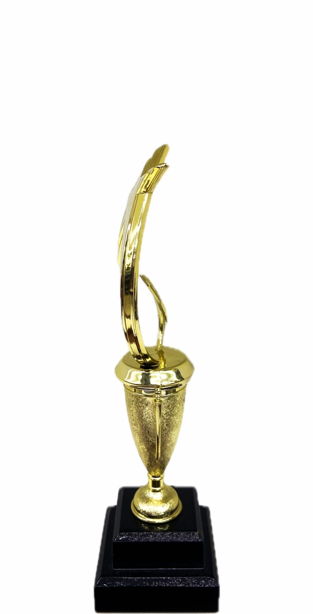 Shooting Star Trophy 305mm