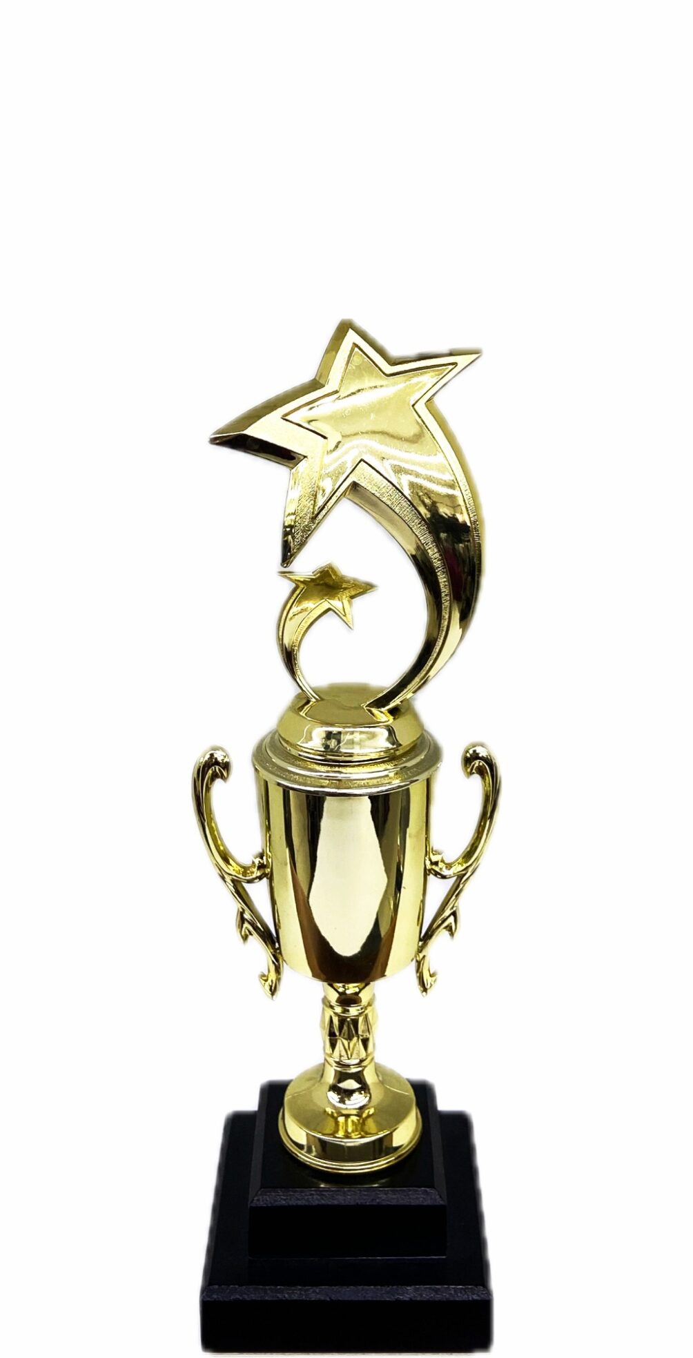 Shooting Star Trophy 305mm