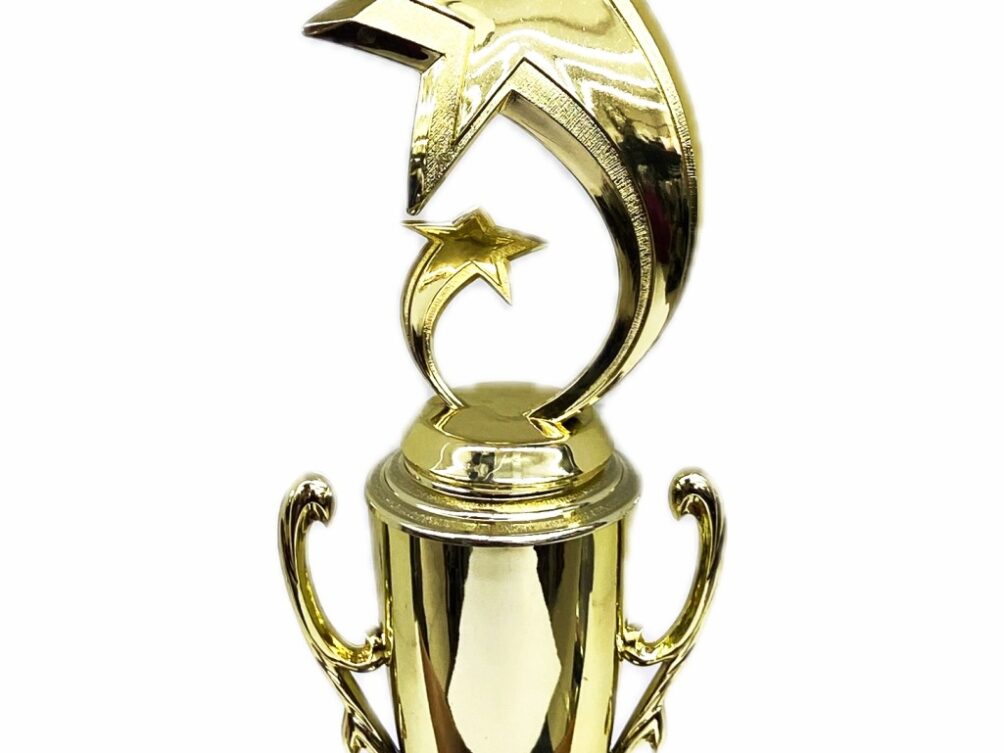 Shooting Star Trophy 305mm