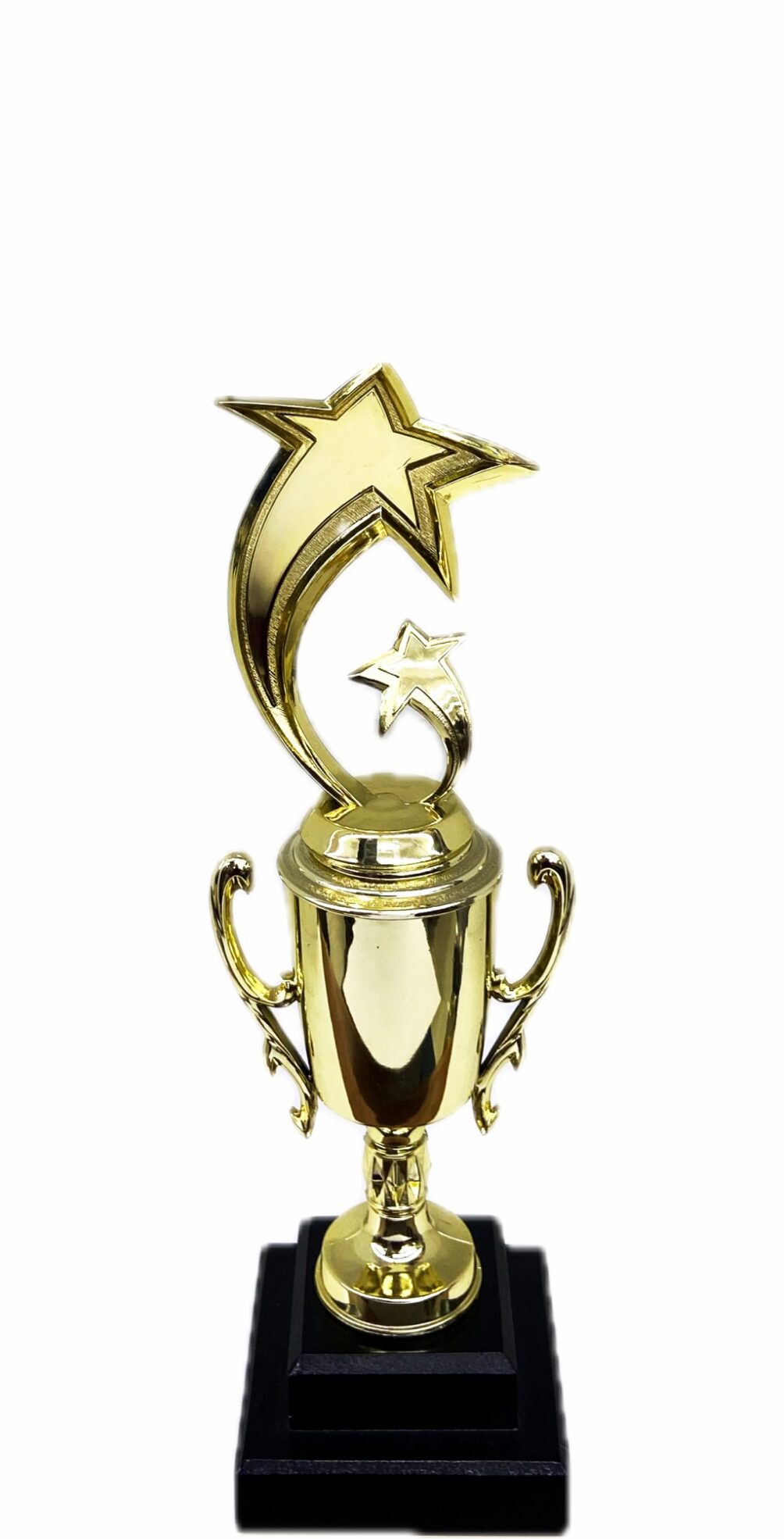 Shooting Star Trophy 305mm