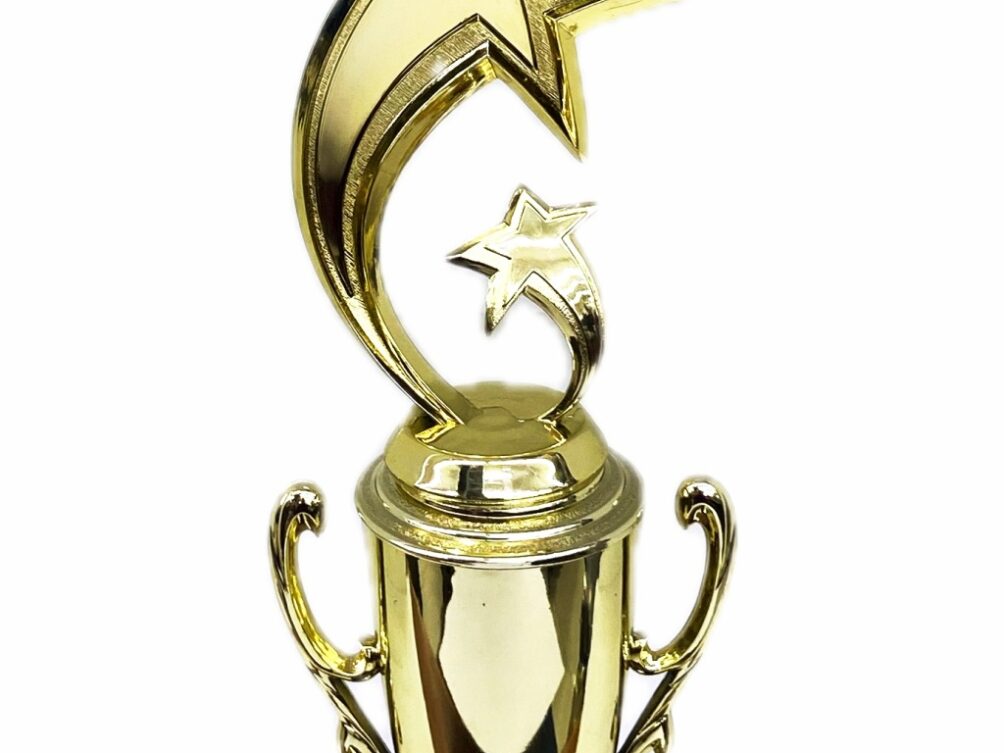 Shooting Star Trophy 305mm