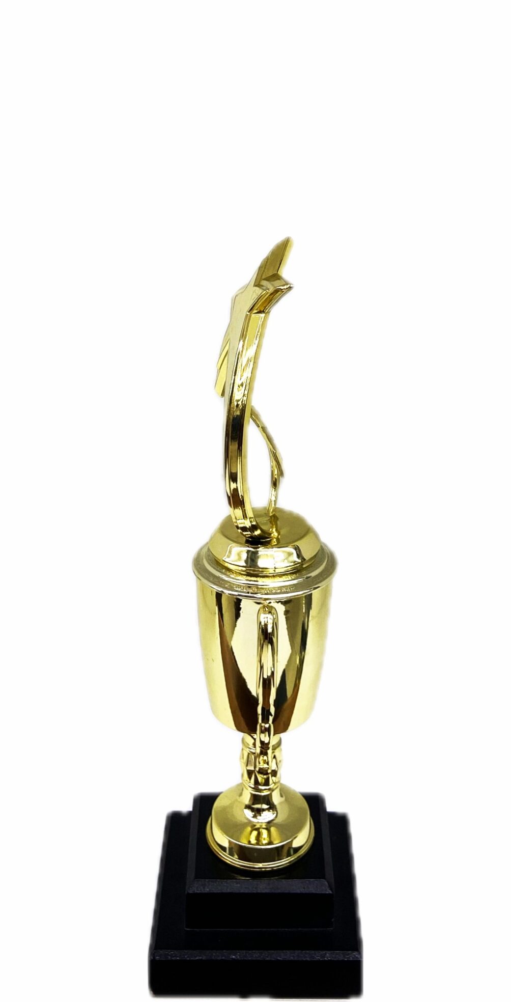 Shooting Star Trophy 305mm