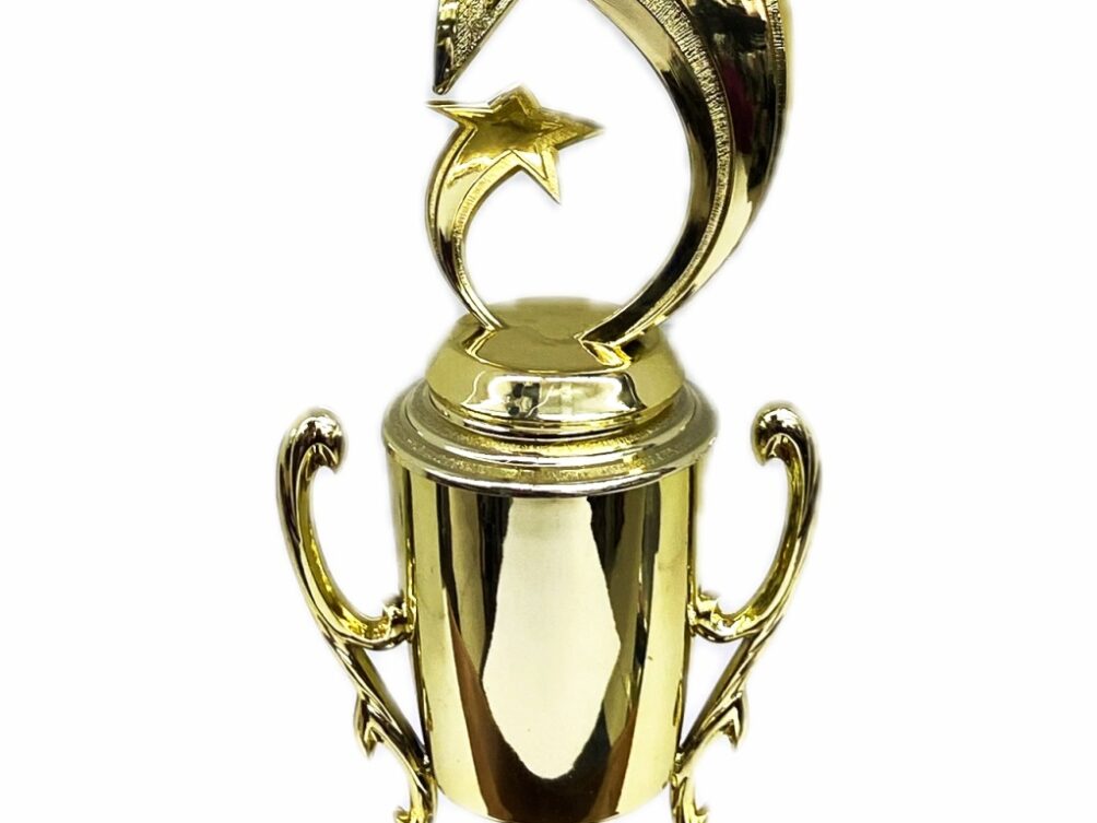 Shooting Star Trophy 340mm