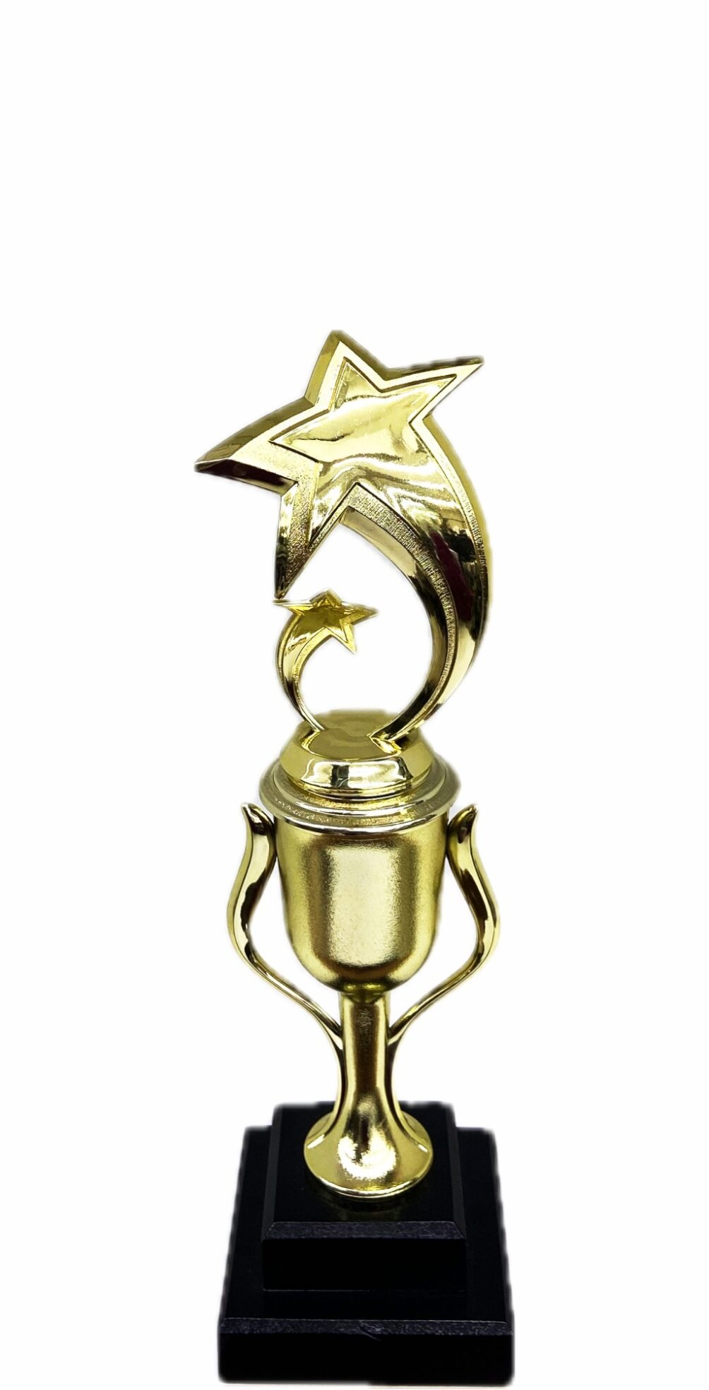 Shooting Star Trophy 305mm