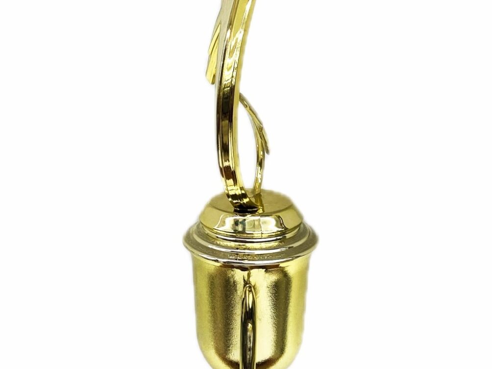 Shooting Star Trophy 305mm