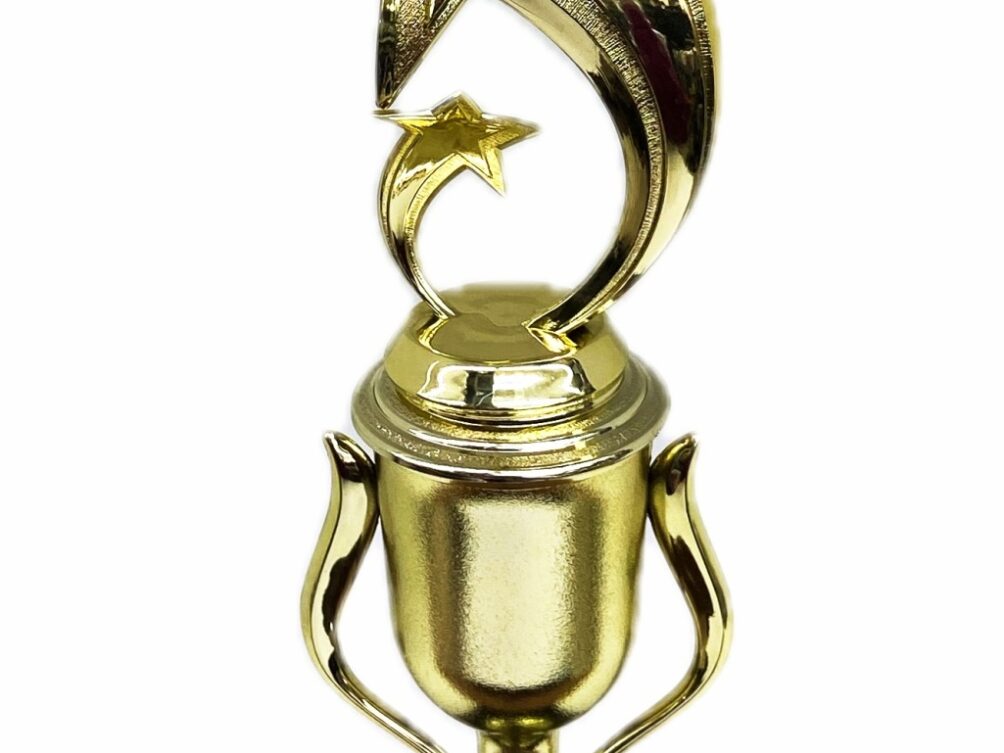 Shooting Star Trophy 340mm