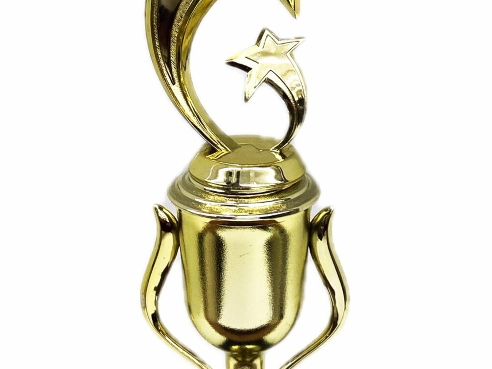 Shooting Star Trophy 340mm