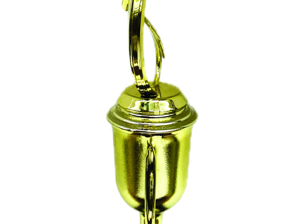 Shooting Star Trophy 340mm