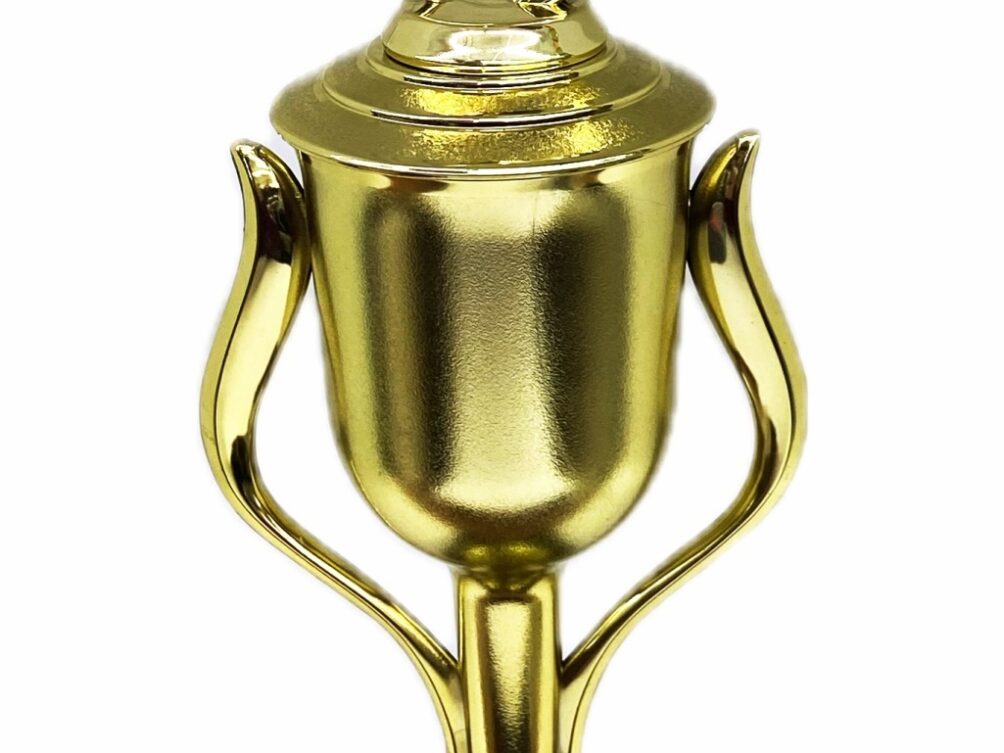 Shooting Star Trophy 420mm