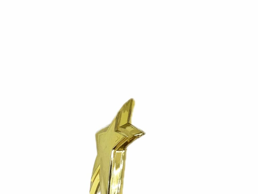 Shooting Star Trophy 160mm
