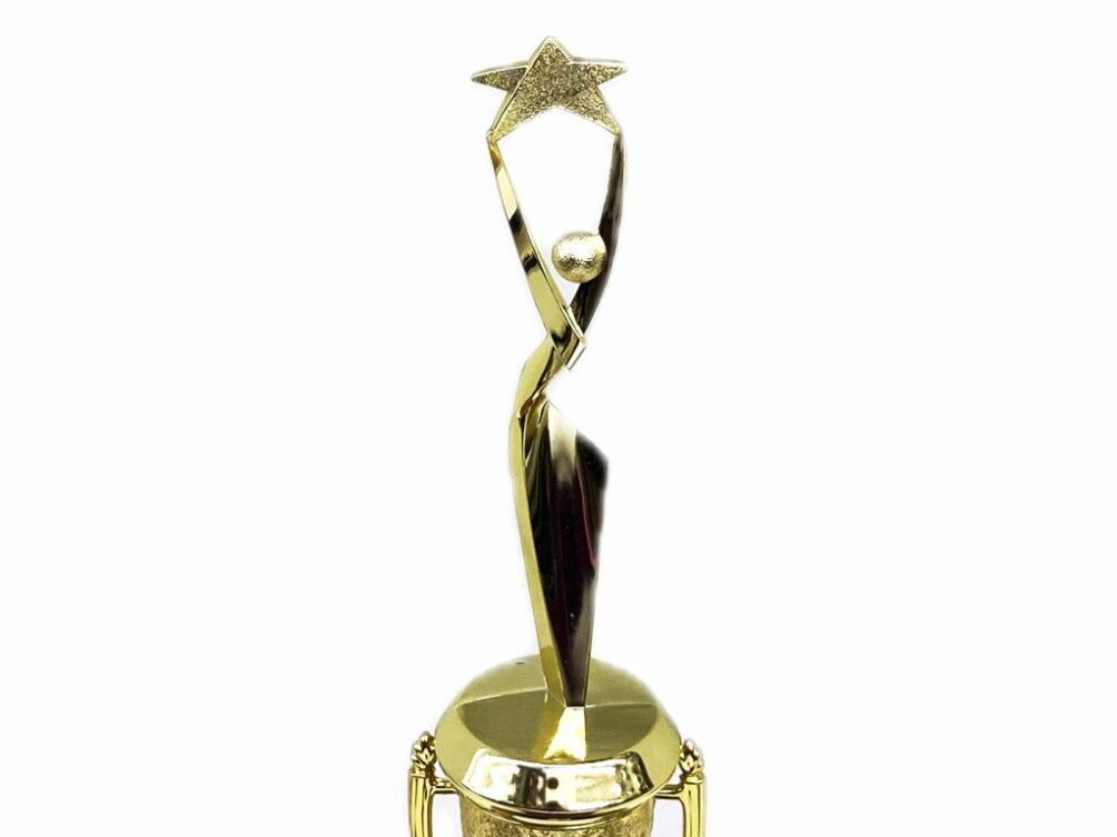 Rearch For The Stars Trophy 290mm