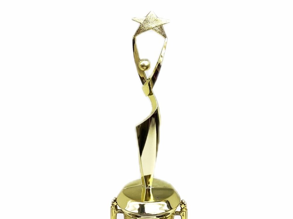 Rearch For The Stars Trophy 290mm